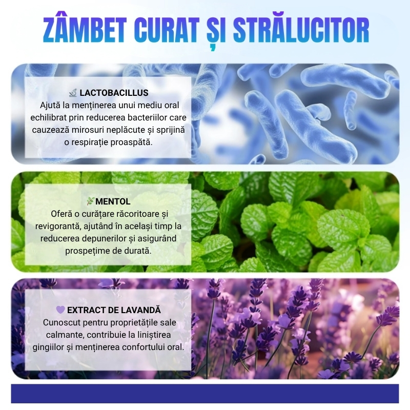IKZEE – Pudră naturală pentru albirea dinților | Mentă & Lavandă | 35 gr - imagine 5