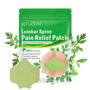 Plasturi naturali pentru calmarea durerilor lombare | Formulă tradițională chinezească pe bază de Pelin, Camfor, Borneol și Ghimbir, Set 12 buc, SEFUDUN® (copie)