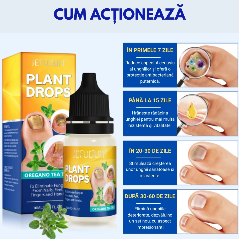 Soluție naturală SEFUDUN® pentru tratarea ciupercii unghiei, sinergie de uleiuri esențiale și glicerină,10 ml - imagine 8