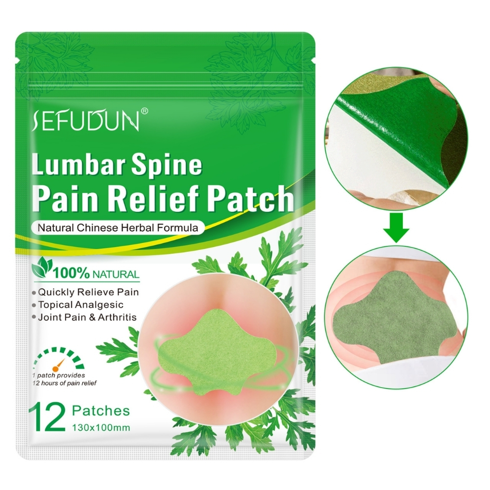 Plasturi naturali pentru calmarea durerilor lombare | Formulă tradițională chinezească pe bază de Pelin, Camfor, Borneol și Ghimbir, Set 12 buc, SEFUDUN® (copie) - imagine 2