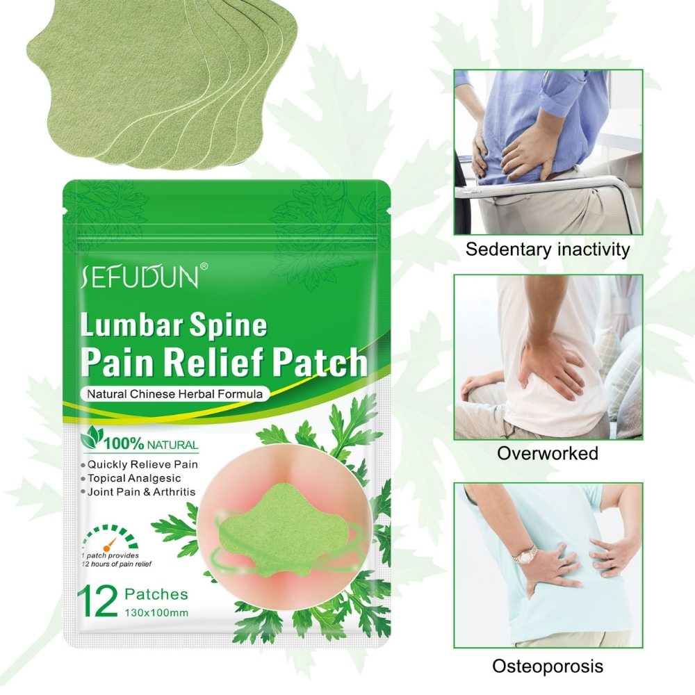 Plasturi naturali pentru calmarea durerilor lombare | Formulă tradițională chinezească pe bază de Pelin, Camfor, Borneol și Ghimbir, Set 12 buc, SEFUDUN® (copie) - imagine 3