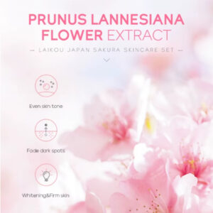 Alternative view of Set cosmetice 4 piese pentru îngrijire facială cu Extract de Flori de Cireș Japonez (Sakura) și Gingseng, Acid Hialuronic și Niacinamidă | Hidratare, Luminozitate, Fermitate, LAIKOU®