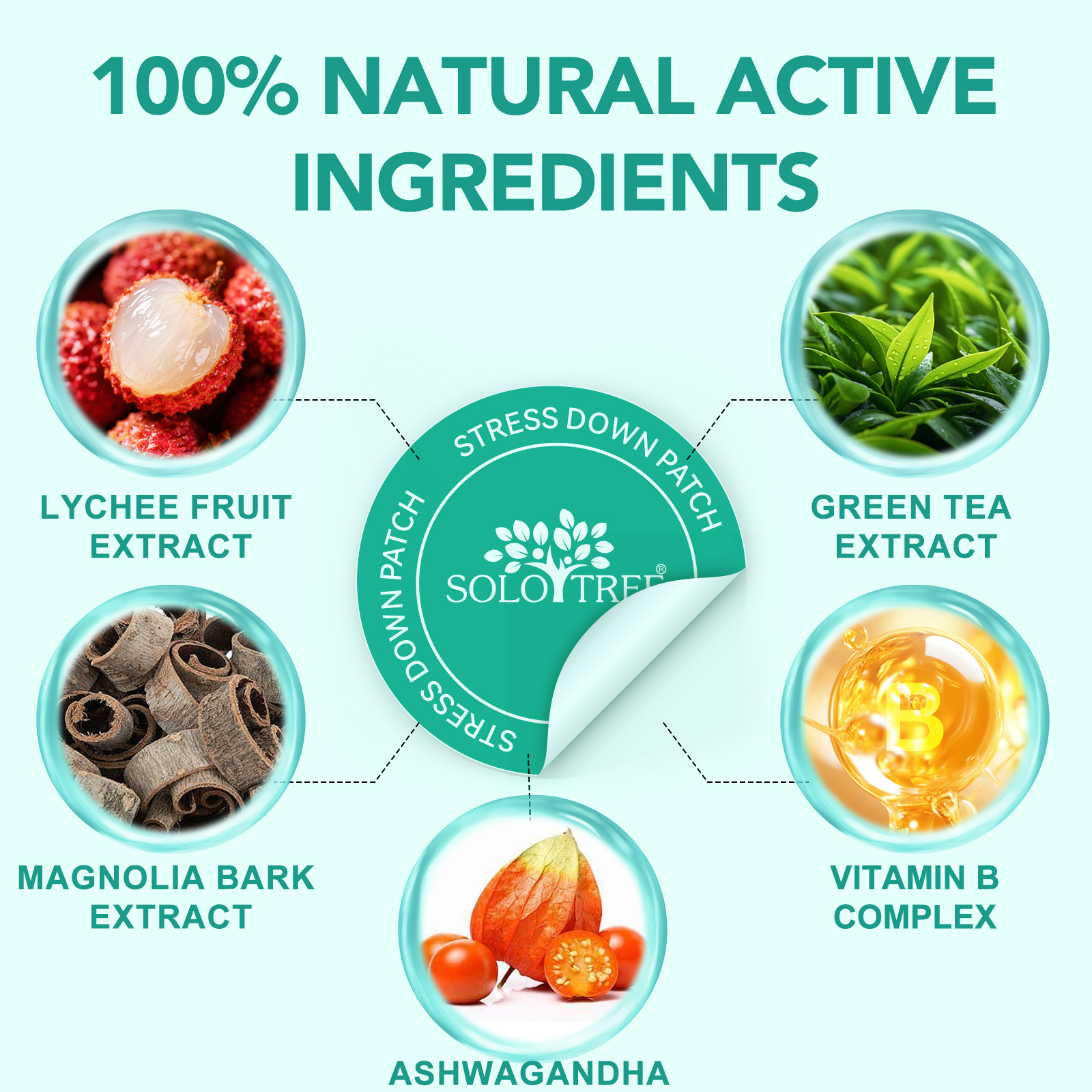 Plasturi transdermici antistres cu Vitamina B Complex, Lychee, Ceai Verde, Magnolia & Ashwagandha, 30 buc | SOLO TREE® - imagine 3