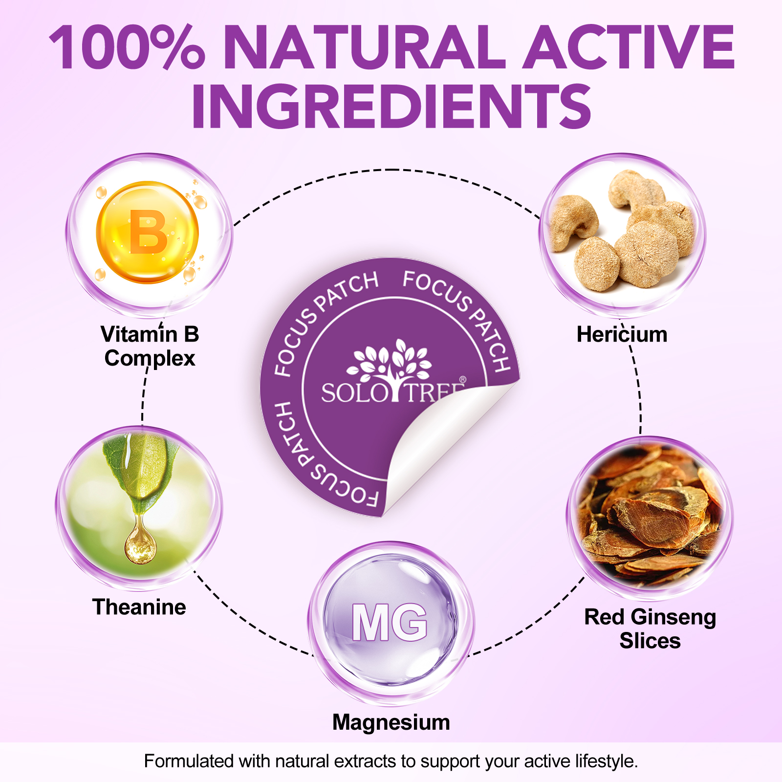 Plasturi transdermici cu extracte de Ciuperca Leului, Ginseng roșu, Vitamina B Complex și Magneziu pentru concentrare, claritate și echilibru mental | 30 bucăți, SOLO TREE® - imagine 6