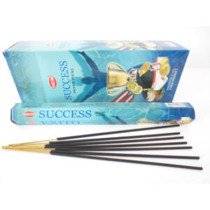 Set 6 Pachete a 20 de Bețișoare Parfumate pentru atragerea Succesului, fabricate în India, HEM®