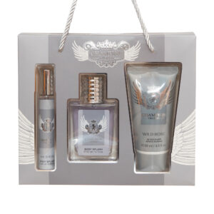 Alternative view of Set cadou bărbați Champion Trophy Body Splash & After Shave, aromă elegantă și modernă, 20 ml + 50 ml + 90 ml, WILD ROSE®