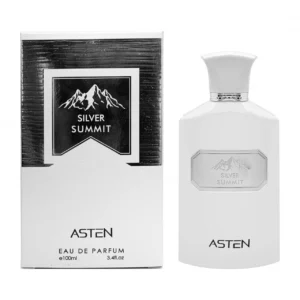Parfum bărbătesc Silver Summit, EDP, 100 ml, ASTEN®