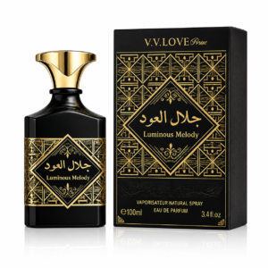 Apă de parfum pentru bărbați Luminous Melody, 100 ml, V.V LOVE®