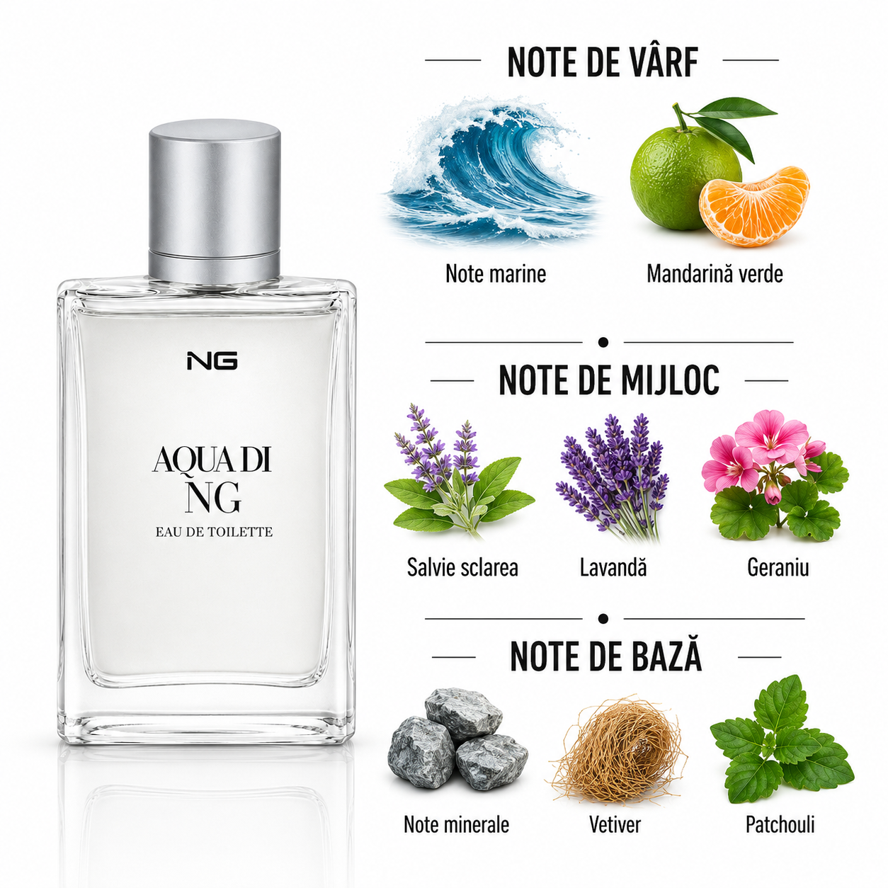 Apă de toaletă pentru bărbați, Parfum bărbătesc Aqua Di NG, EDT, 100 ml, NG® - imagine 2