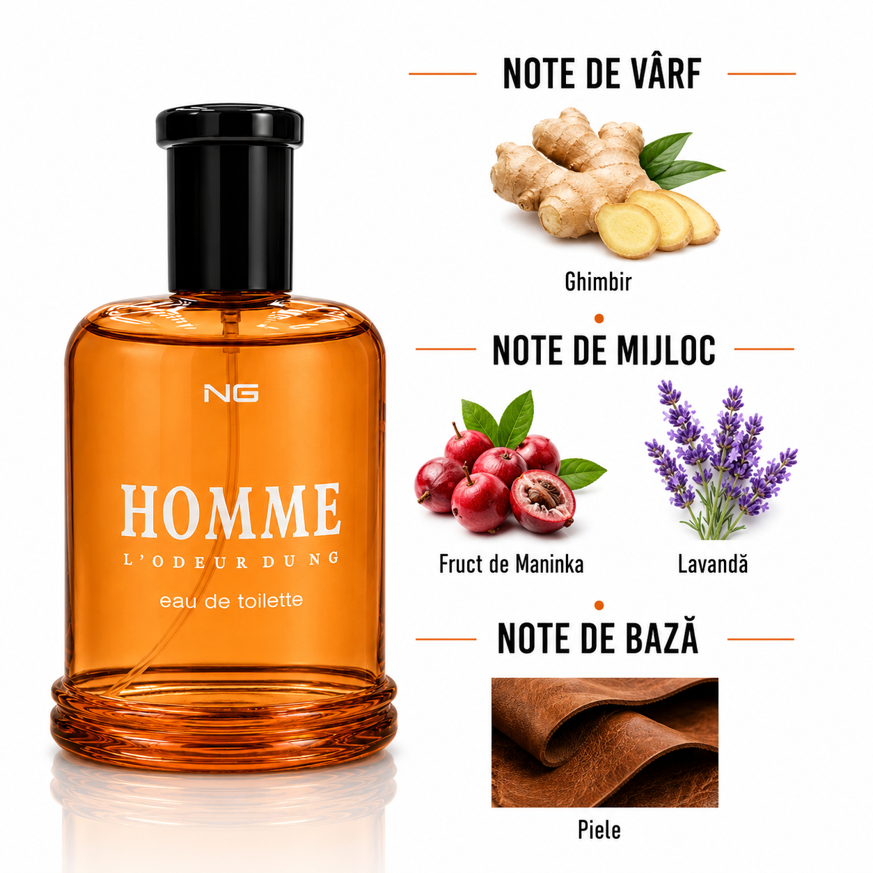 Apă de toaletă pentru bărbați, Parfum bărbătesc Homme L'Odeur Dung, EDT, 100 ml, NG® - imagine 2