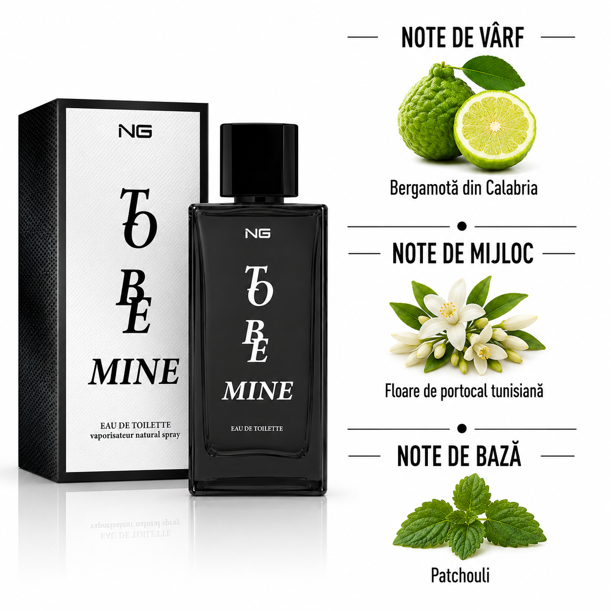 Apă de toaletă pentru bărbați, Parfum bărbătesc To Be Mine, EDT, 100 ml, NG® - imagine 2
